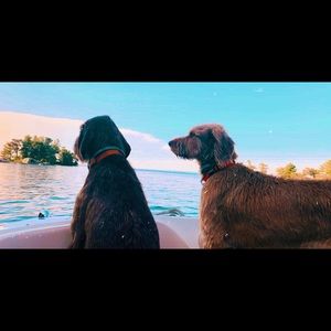 Meet your Posher, Audra